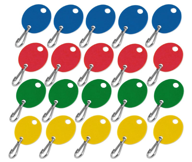 Lucky Line Oval Cabinet Key Tag with Hook in Assorted Colors  100 Blank Tags (258900)